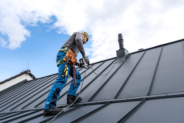 Best Roof Maintenance and Cleaning  in Princeton Junction, NJ