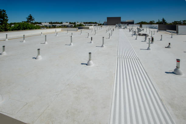 Best Flat Roofing  in Princeton Junction, NJ